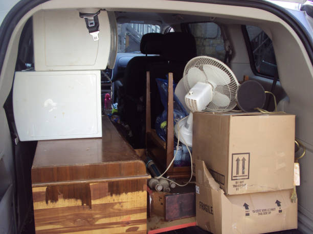 Best Yard Waste Removal  in Nescopeck, PA